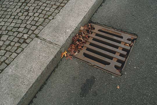 A drain cover that stopped fallen leaves from getting into the sewers