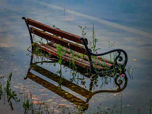 Bench reflecting in flood water.