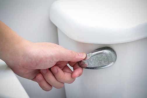 avoid flushing the toilet when you have a sewer line break.