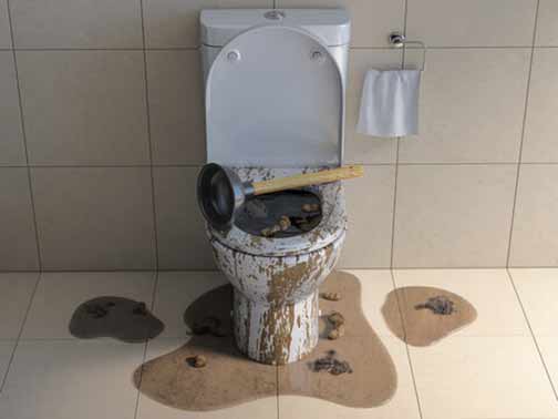 backed up toilet