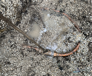 main water line replacement in chicago