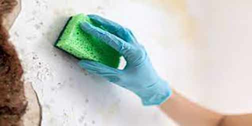a woman cleaning water stains off her wall.