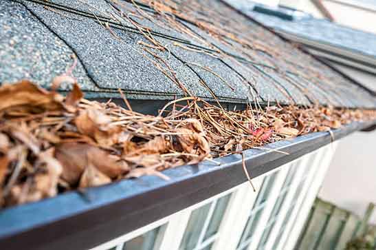 a clogged gutter causing issues.