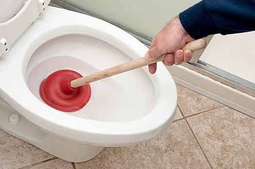 a clogged toilet from flushing wrong items.