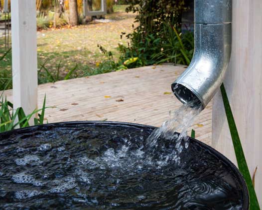 collecting rainwater to help reduce high water bills.