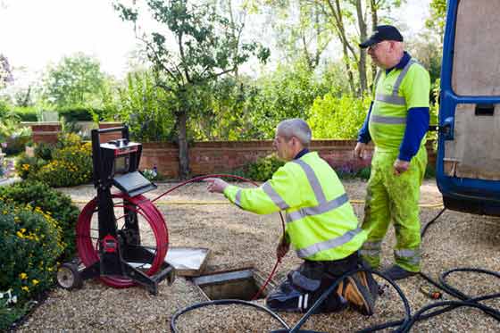plumbers carrying out a drain line inspection.