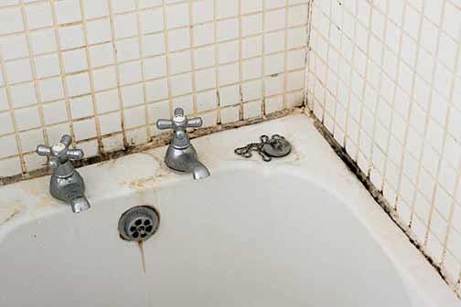 a moldy shower and tub.