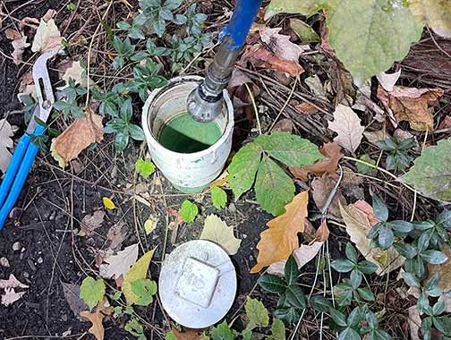hydro jetting through a sewer clean out
