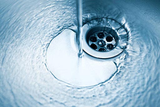 keeping your drains clean can prevent drain flies in chicagoland.