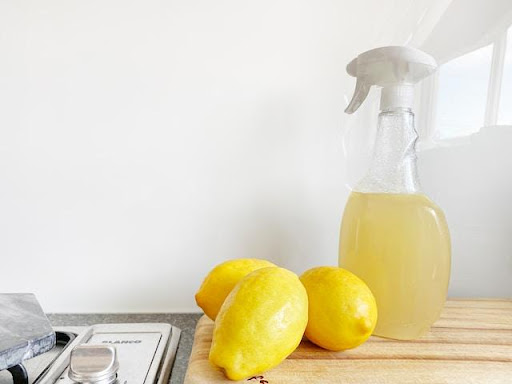 cleaning your garbage disposal with citrus is a good practice.