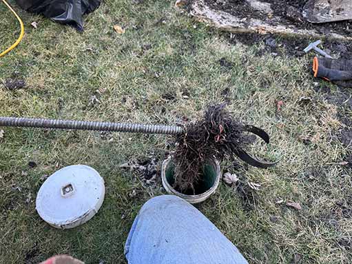 mechanical root cutting to rid of sewer tree root intrusion.