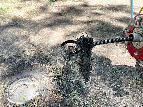 a professional sewer rodding service in chicago