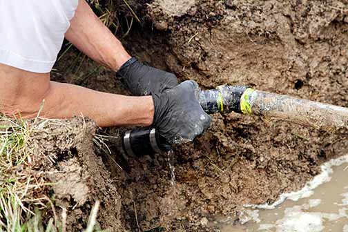 Essential Maintenance Tips for a Healthy Sewer System