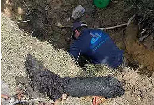a plumber removing tree roots from a sewer line in chicago.