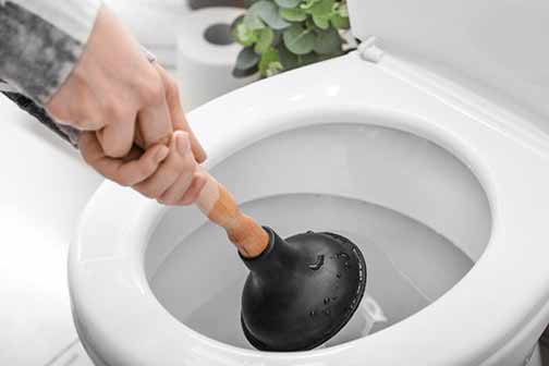 Understanding the Science Behind Toilet Clogs and How to Avoid Them