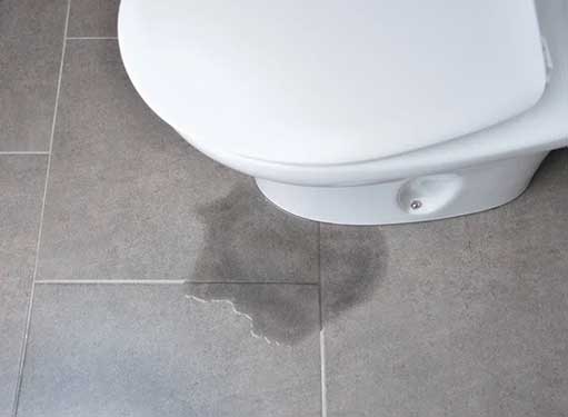 What to Do When Your Toilet is Leaking From the Base