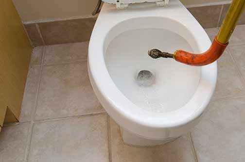 a toilet plumbing snake