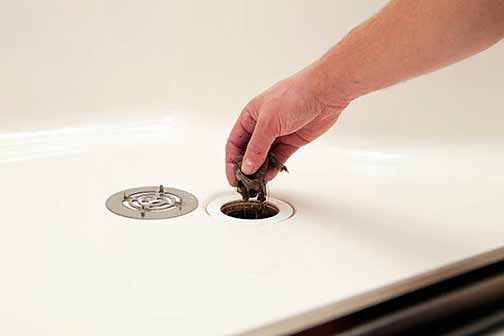 How to Unclog a Shower Drain Without Using Chemicals