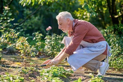 a man tending to his garden