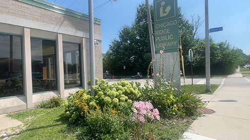 village of chicago ridge illinois